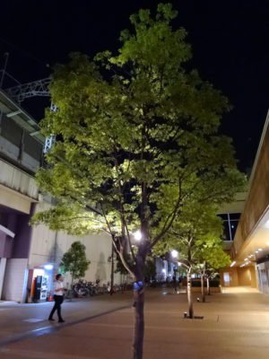 市川駅前の夜の風景